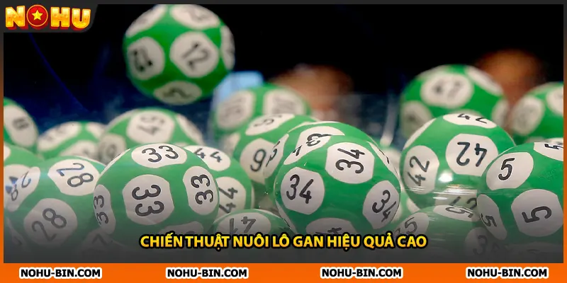 Chiến thuật nuôi lô gan hiệu quả cao