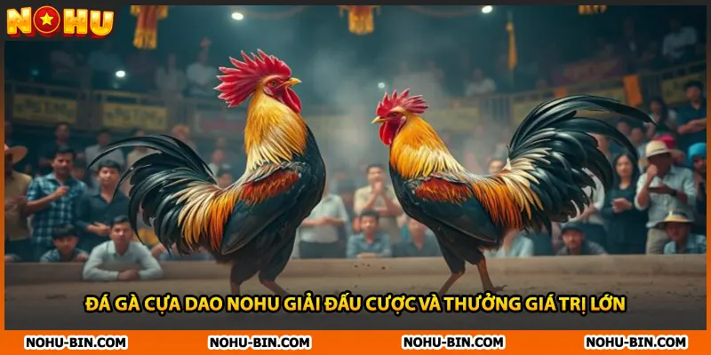 Đá Gà Cựa Dao NOHU Giải Đấu Cược Và Thưởng Giá Trị Lớn