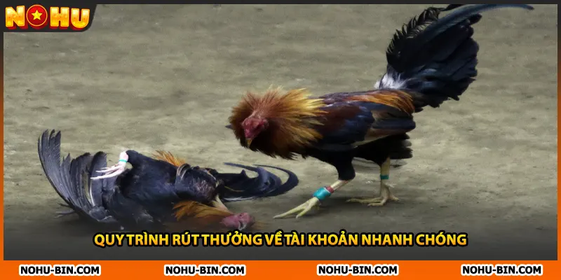 Quy trình rút thưởng về tài khoản nhanh chóng