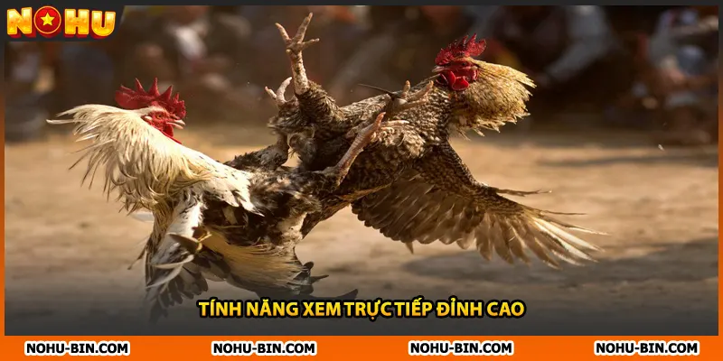 Tính năng xem trực tiếp đỉnh cao