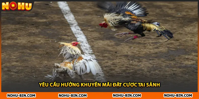 Yêu cầu hưởng khuyến mãi đặt cược tại sảnh